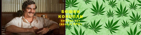 хмурый Гусев
