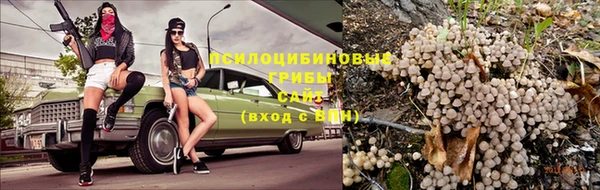 хмурый Гусев