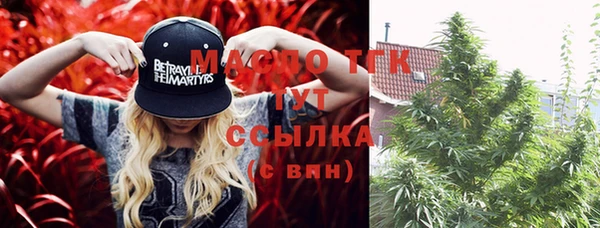 хмурый Гусев