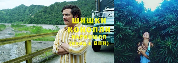 хмурый Гусев