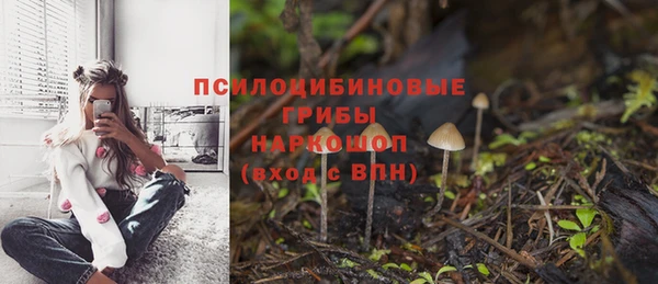 хмурый Гусев