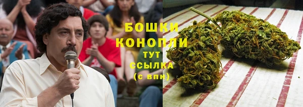 хмурый Гусев