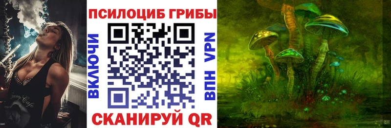 Купить закладки  Магас  Галлюциногенные грибы прущие грибы 
